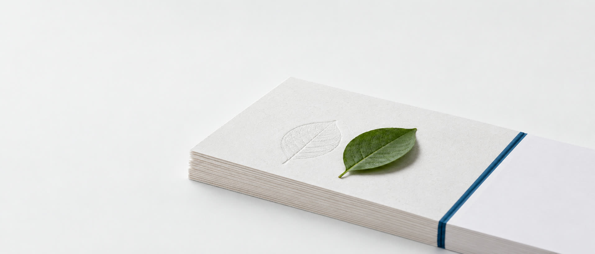 Pila de papel natural con una hoja gofrada en seco, una hoja verde recién prensada y una cinta azul petróleo